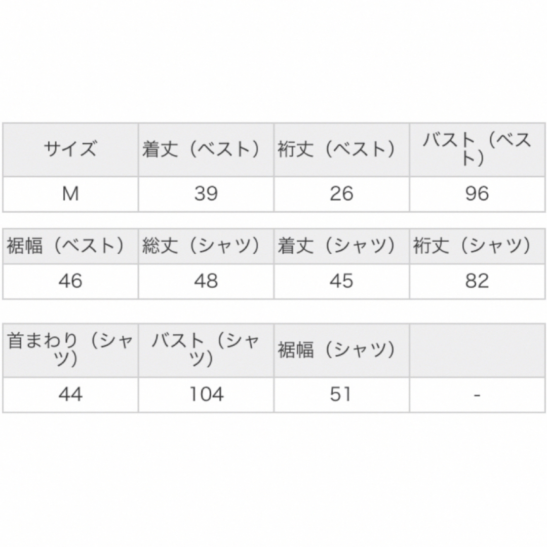 INGNI(イング)のINGNI イング　ショート丈ケーブルニットベスト＋ショート丈シャツセット　新品 レディースのトップス(ニット/セーター)の商品写真