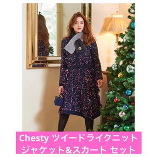 チェスティ(Chesty)のchesty ツイードライク ニット ジャケット スカート セットアップ(ひざ丈スカート)