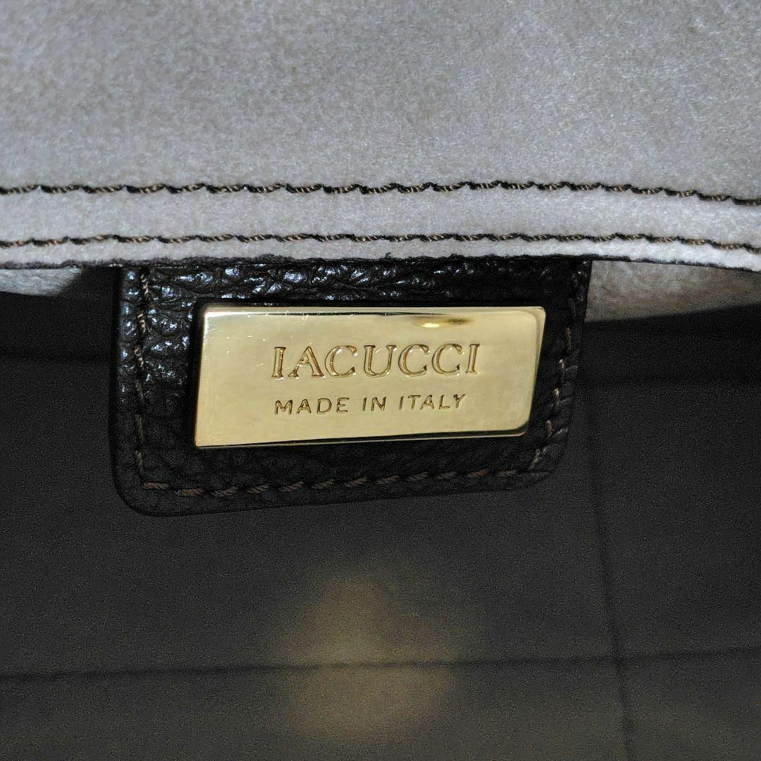 IACUCCI ハラコレオパード柄ハンドバッグサイズ縦約16cm