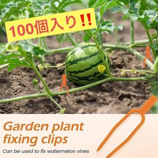 植物固定クリップ 100個入り 園芸クリップ(その他)