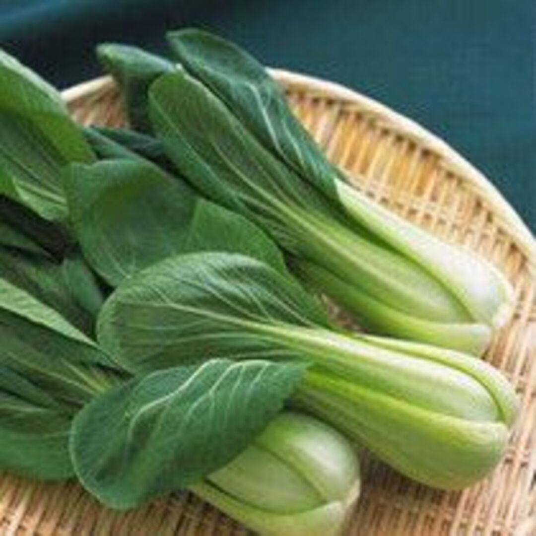 【種】チンゲンサイ　青梗菜　無農薬　100粒 食品/飲料/酒の食品(野菜)の商品写真