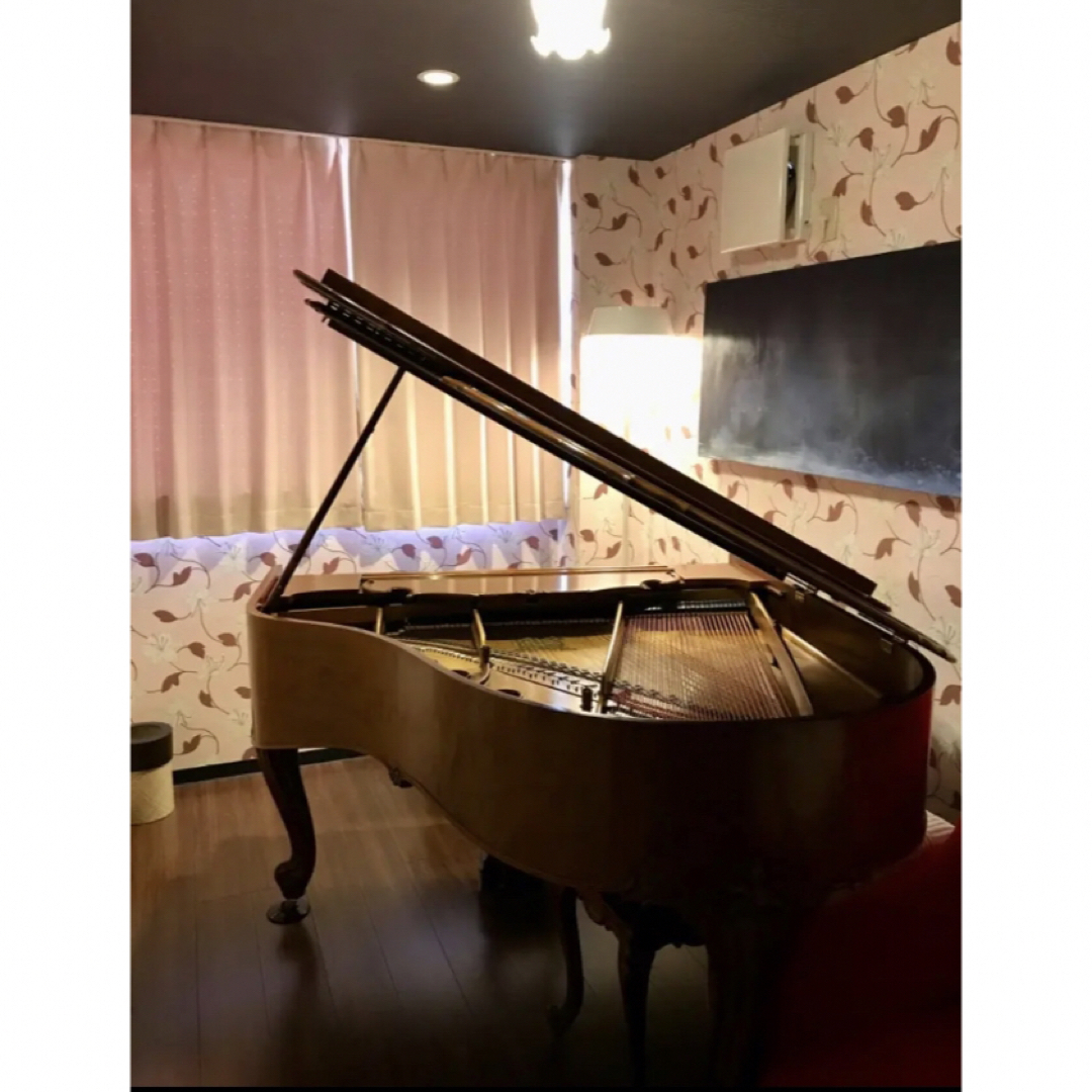 京都市Steinwayピアノ付き施設宿泊券B　完全予約制　スタインウェイ チケットの優待券/割引券(宿泊券)の商品写真