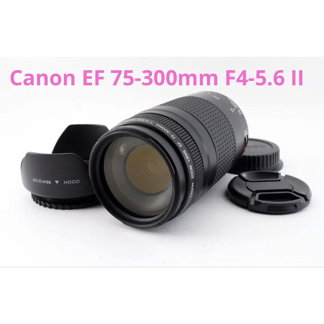 Canon - ☆レンズフード付⭐︎キャノン Canon EF75-300㎜ IIの通販 by ...