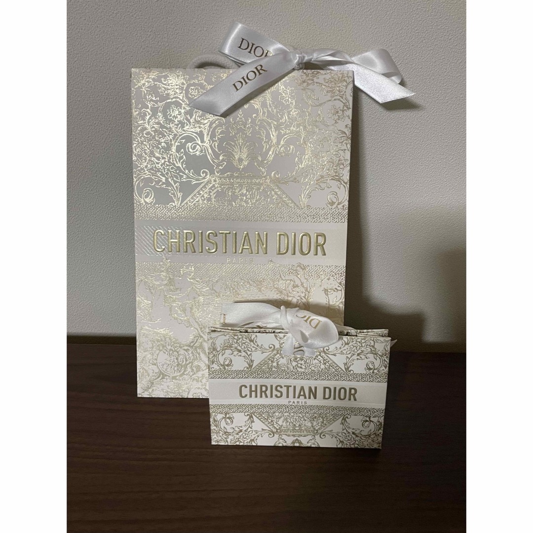 Christian Dior - DIOR ホリデー アディクトリップ ケース