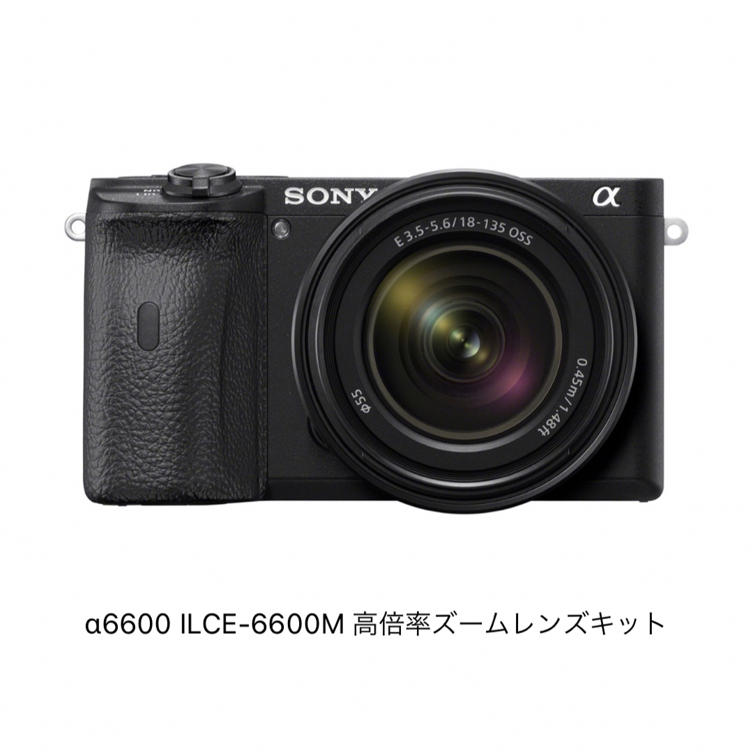 ソニー SONY ILCE-6600M 高倍率ズームレンズキット