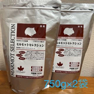 イースター(Yeaster)の【即日発送】モルモットセレクション　750g （250g×3） ×2袋(ペットフード)