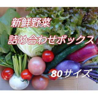 新鮮野菜 詰め合わせボックス(野菜)