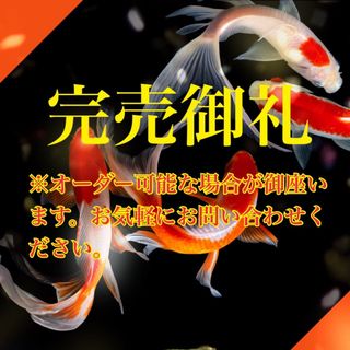 小判型◆❖白蛇様の金運御守り❖◆ 弁財天 白蛇 小判(置物)