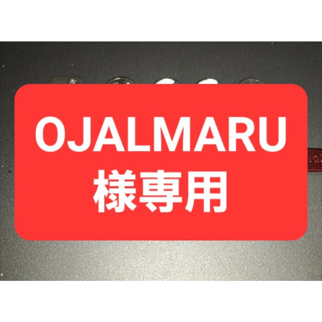 OJALMARU様専用　藤商事P73 エンタメ/ホビーのテーブルゲーム/ホビー(パチンコ/パチスロ)の商品写真