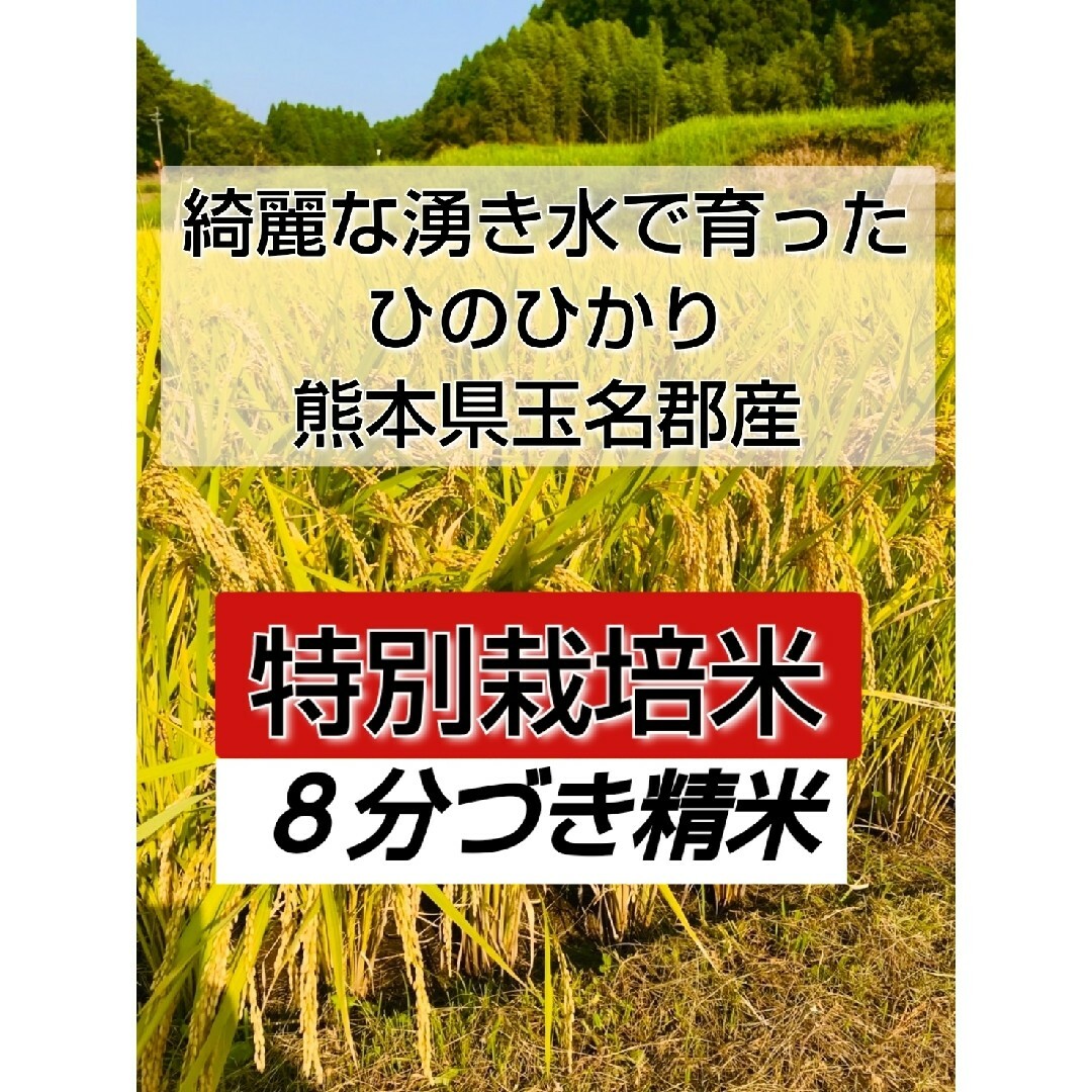 湧き水で育った熊本県産ヒノヒカリ新米(農薬　化学肥料　除草剤不使用)玄米25k