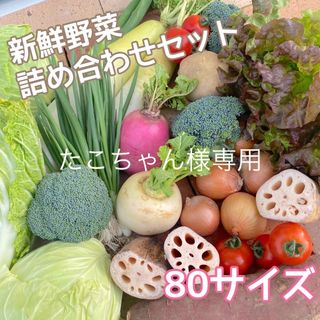 【新鮮！美味しい！】季節の採れたて野菜 詰め合わせセット 80サイズ(野菜)