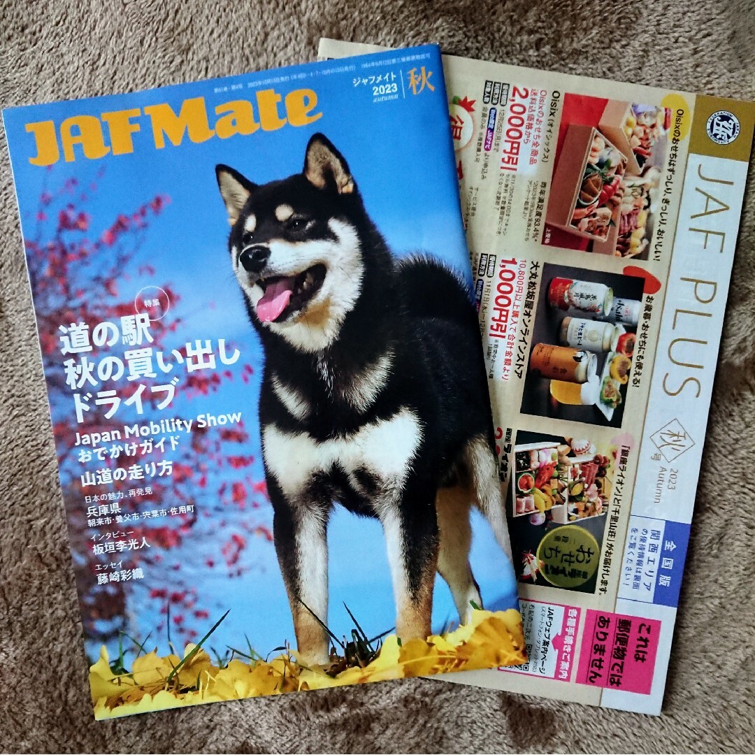 🚒【未使用】JAF Mate 秋号 ジャフメイト ※クーポン付 エンタメ/ホビーの雑誌(車/バイク)の商品写真