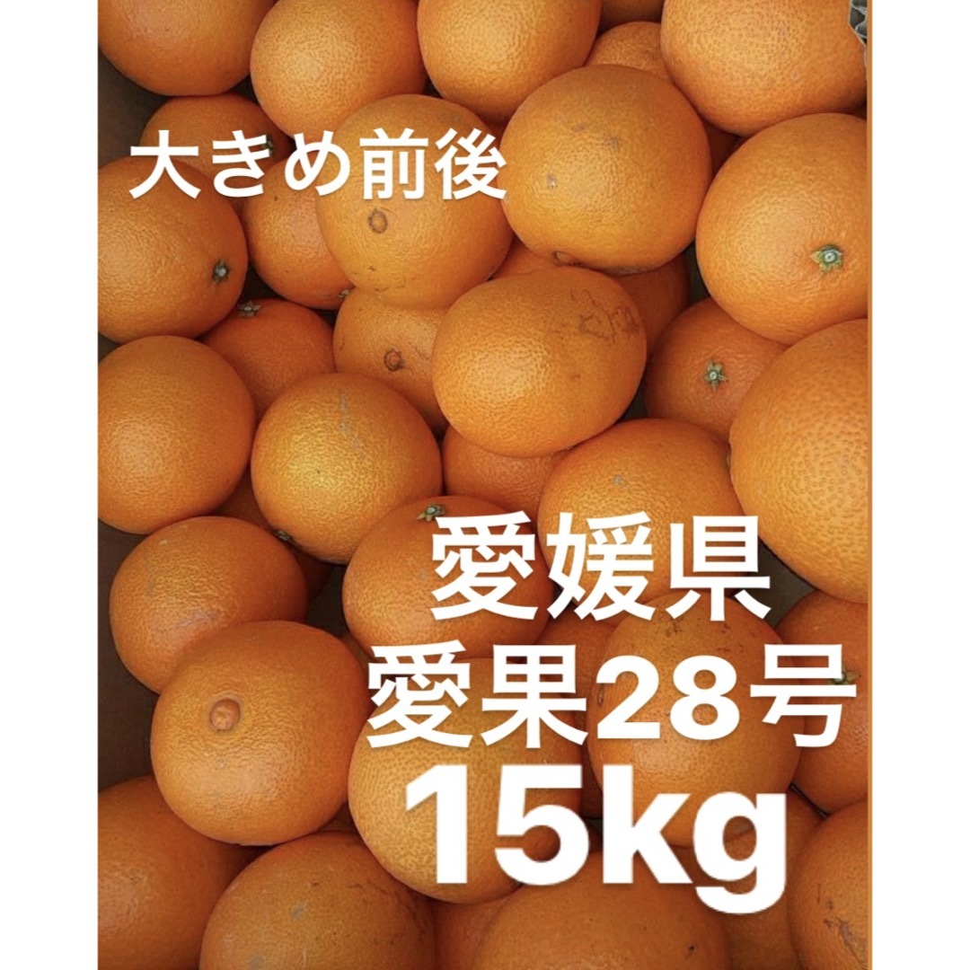 愛媛県産　愛果28号　柑橘　15kg