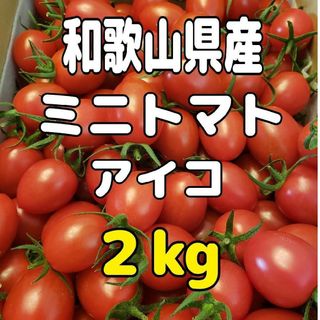 和歌山県産 ミニトマト アイコ ２kg(野菜)