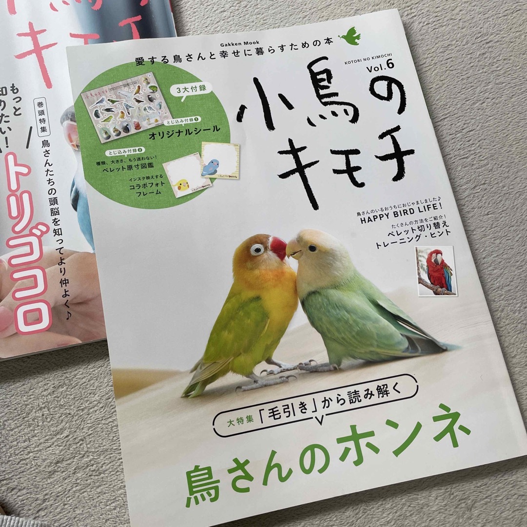 学研(ガッケン)の♡小鳥のキモチ♡ エンタメ/ホビーの本(住まい/暮らし/子育て)の商品写真