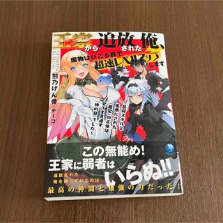 王家から追放された俺、魔物はびこる森で超速レベルアップします(文学/小説)