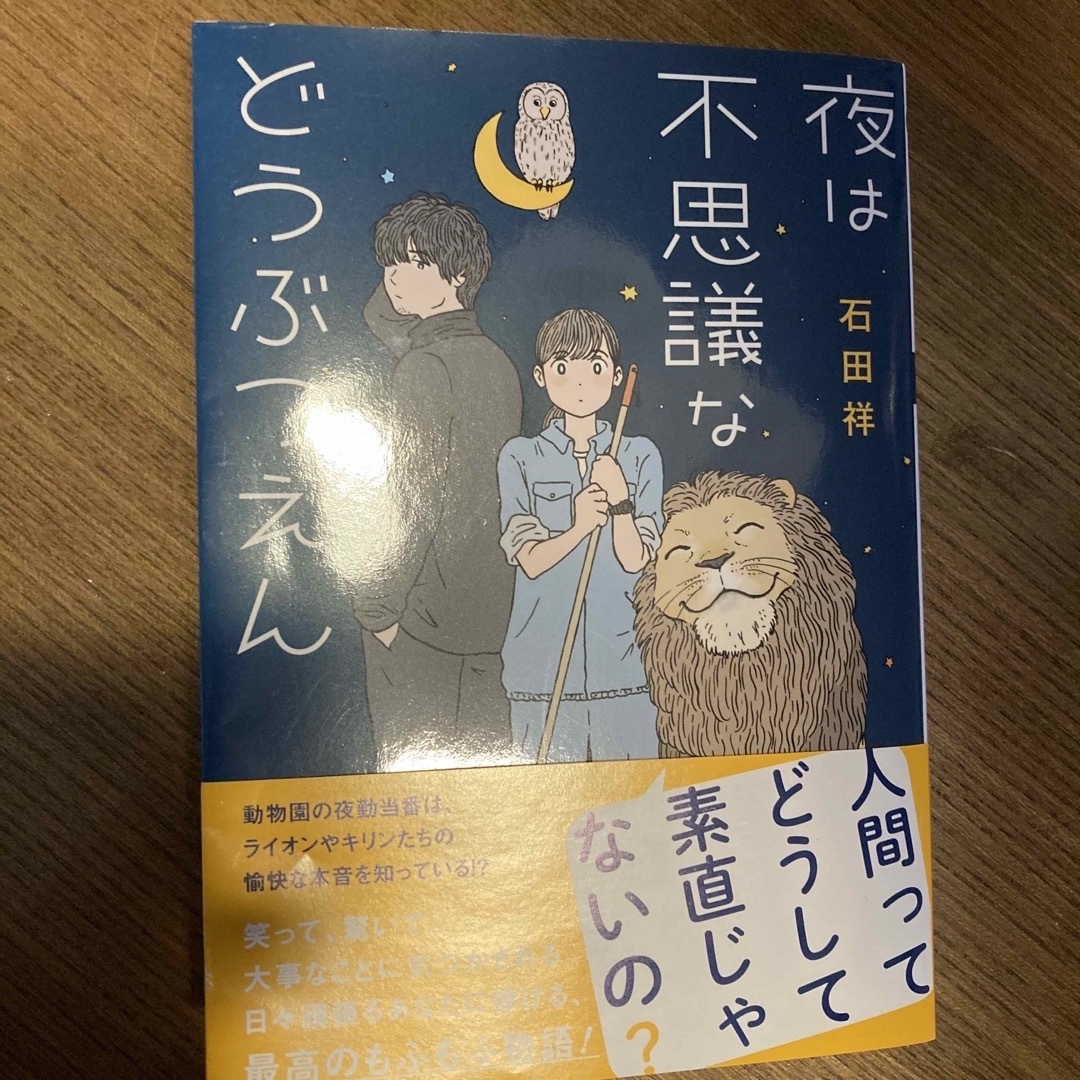 石井詳　［夜は不思議などうぶつえん］ エンタメ/ホビーの本(文学/小説)の商品写真