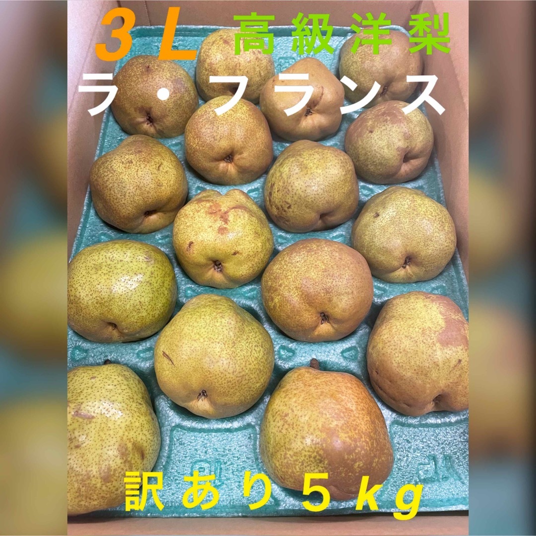 旬の果物　高級洋梨　ラフランス　訳あり　3L（16個入）5kg   家庭用 食品/飲料/酒の食品(フルーツ)の商品写真