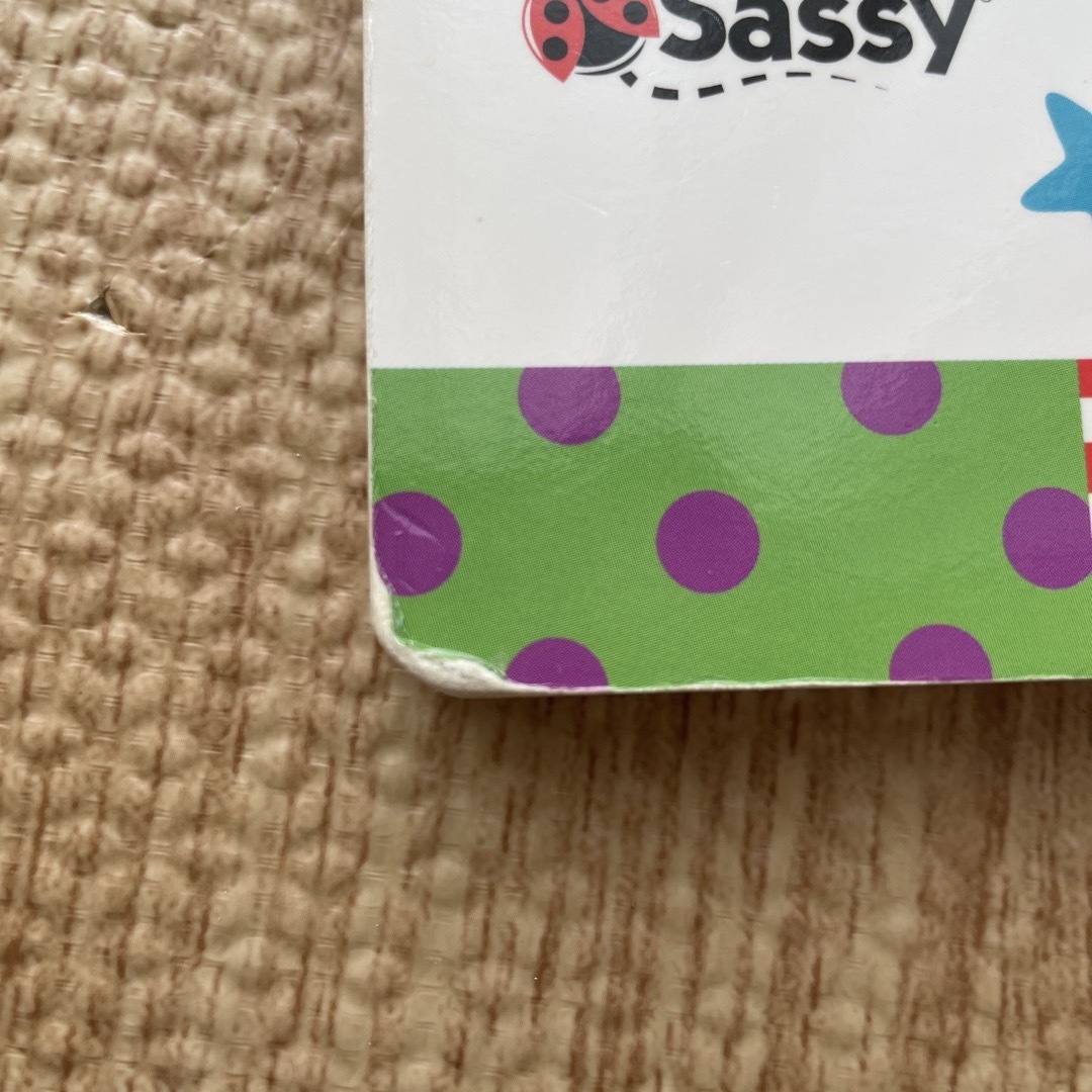 Sassy(サッシー)のがおー！ エンタメ/ホビーの本(絵本/児童書)の商品写真