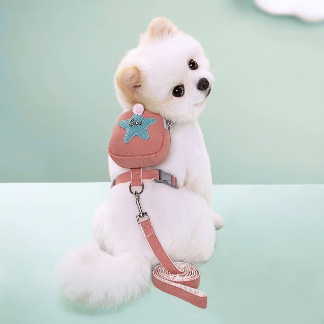 ハーネス　リード　ミニリュック　星　散歩　おやつ　犬　猫　ペット　ピンク　M ハンドメイドのペット(リード/首輪)の商品写真