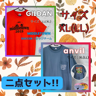 Anvil - 古着 90年代 anvil プリントTシャツ USA製 メンズXXL ...