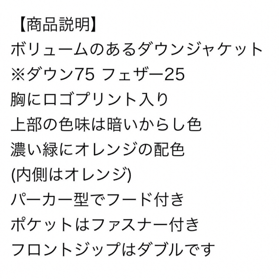 NIKE(ナイキ)の★最終値下げ★ 美品 正規品 NIKE ダウンジャケット マルチカラー L メンズのジャケット/アウター(ダウンジャケット)の商品写真