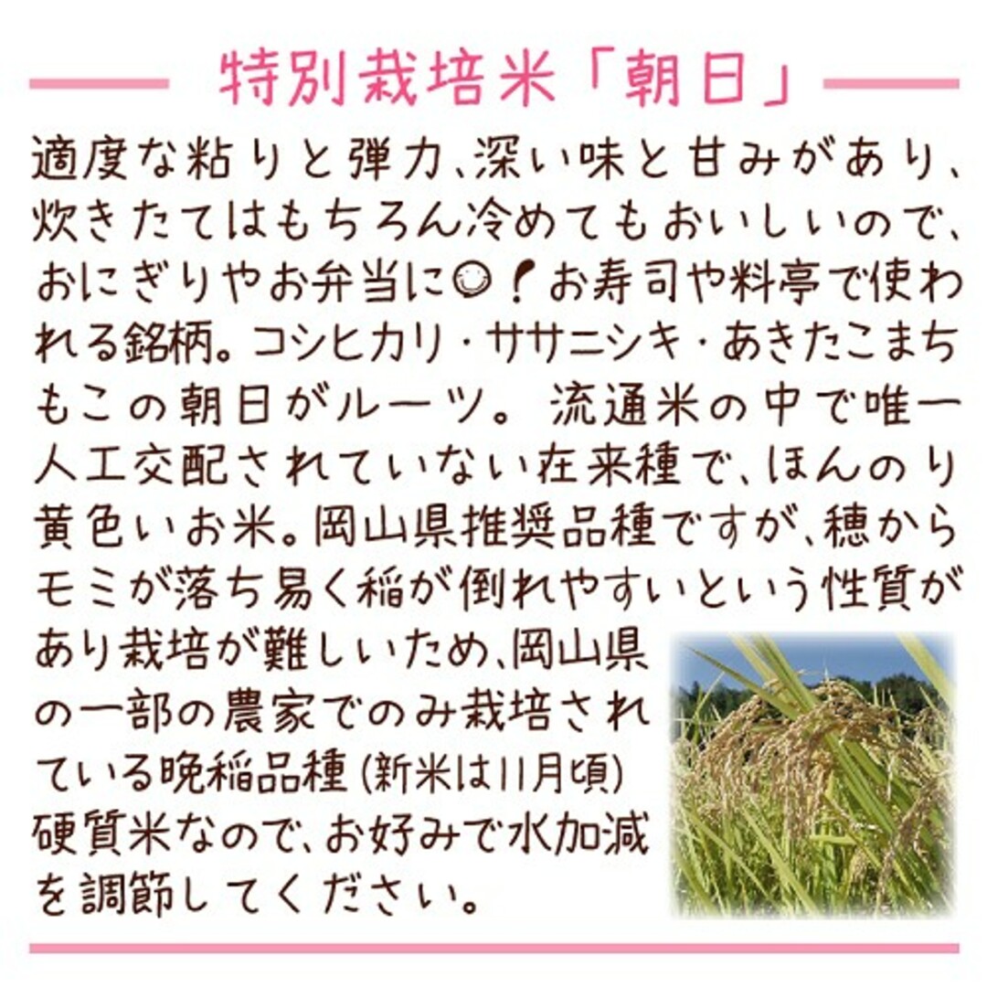 アサヒ(アサヒ)の令和4年産 希少米もこの価格！ 岡山 エコファーマー 有機肥料 特別栽培米 朝日 食品/飲料/酒の食品(米/穀物)の商品写真