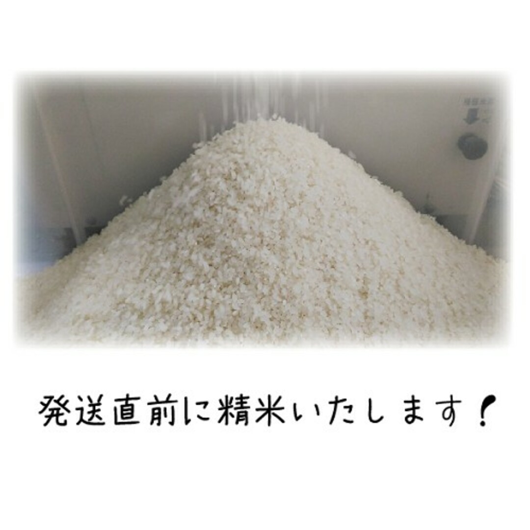 アサヒ(アサヒ)の令和4年産 希少米もこの価格！ 岡山 エコファーマー 有機肥料 特別栽培米 朝日 食品/飲料/酒の食品(米/穀物)の商品写真