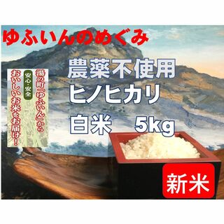 2023年産「ゆふいんのめぐみ」ヒノヒカリ白米5kg(米/穀物)