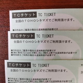 TCチケット３枚組(その他)
