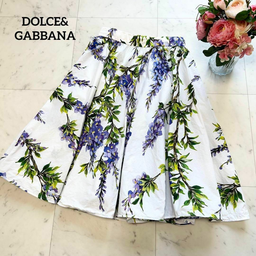 美品 DOLCE\u0026GABBANA 大人気デザイン 藤の花 コットンフレアスカート