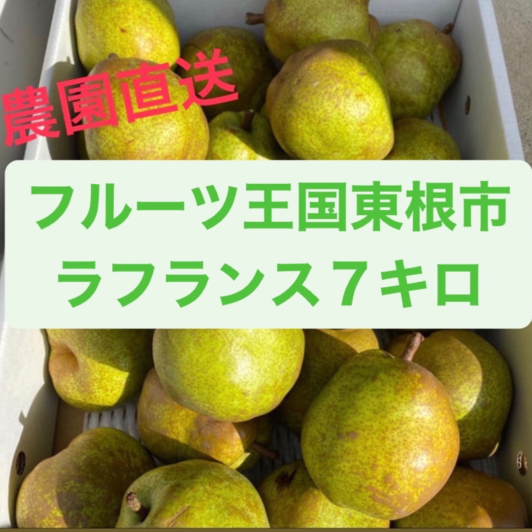 【訳あり品】山形県ラフランス洋梨🍐７キロ 食品/飲料/酒の食品(フルーツ)の商品写真