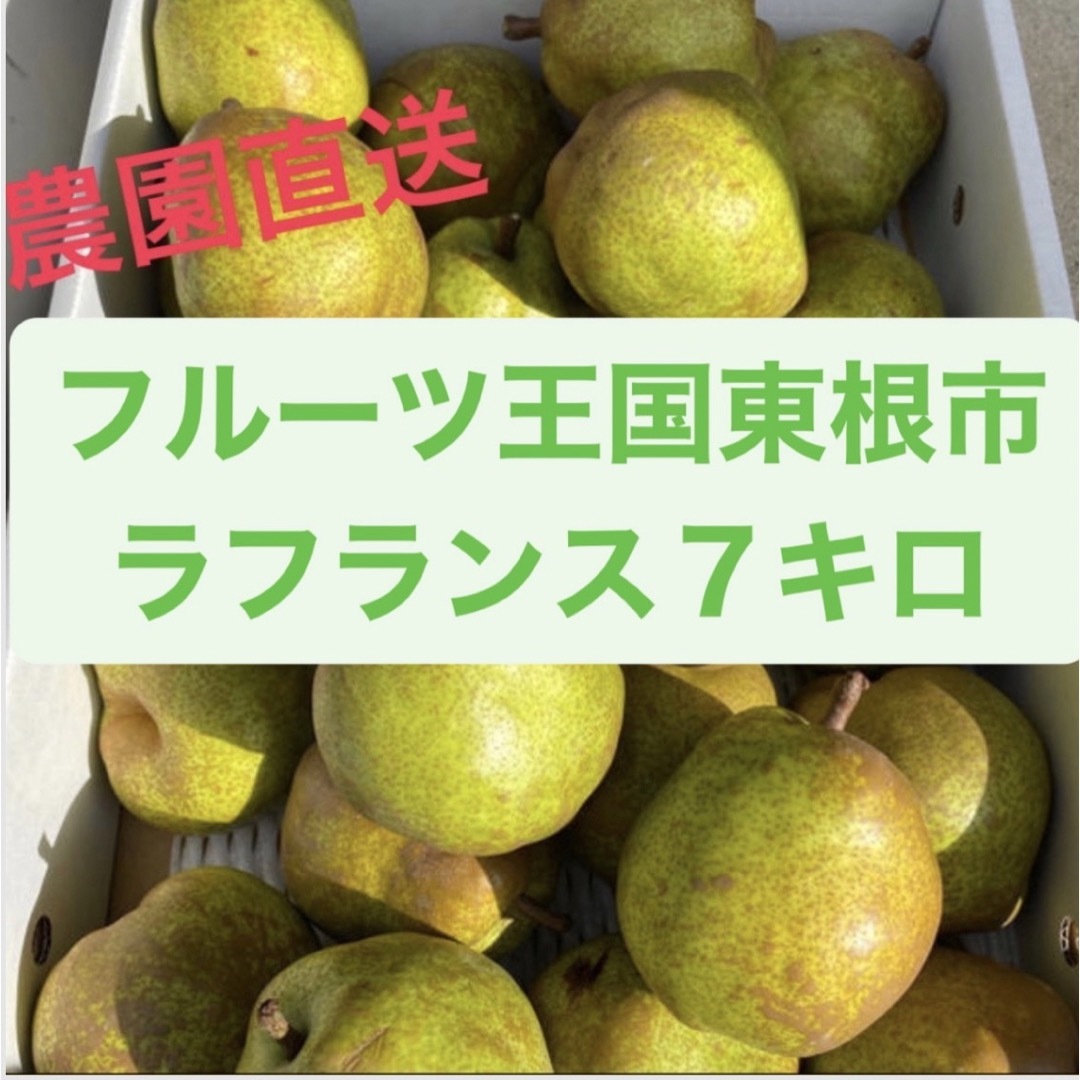 【訳有り品】山形県産ラフランス７キロ 食品/飲料/酒の食品(フルーツ)の商品写真