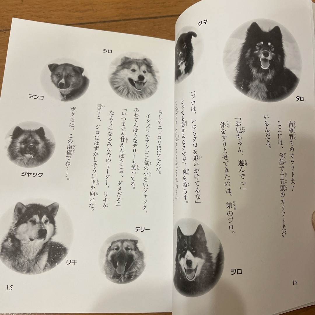 学研(ガッケン)のタロ〜！ジロ〜！南極物語　 エンタメ/ホビーの本(絵本/児童書)の商品写真