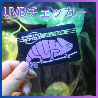 UVBチェッカー 紫外線テスター 爬虫類ランプ 太陽光(爬虫類/両生類用品)