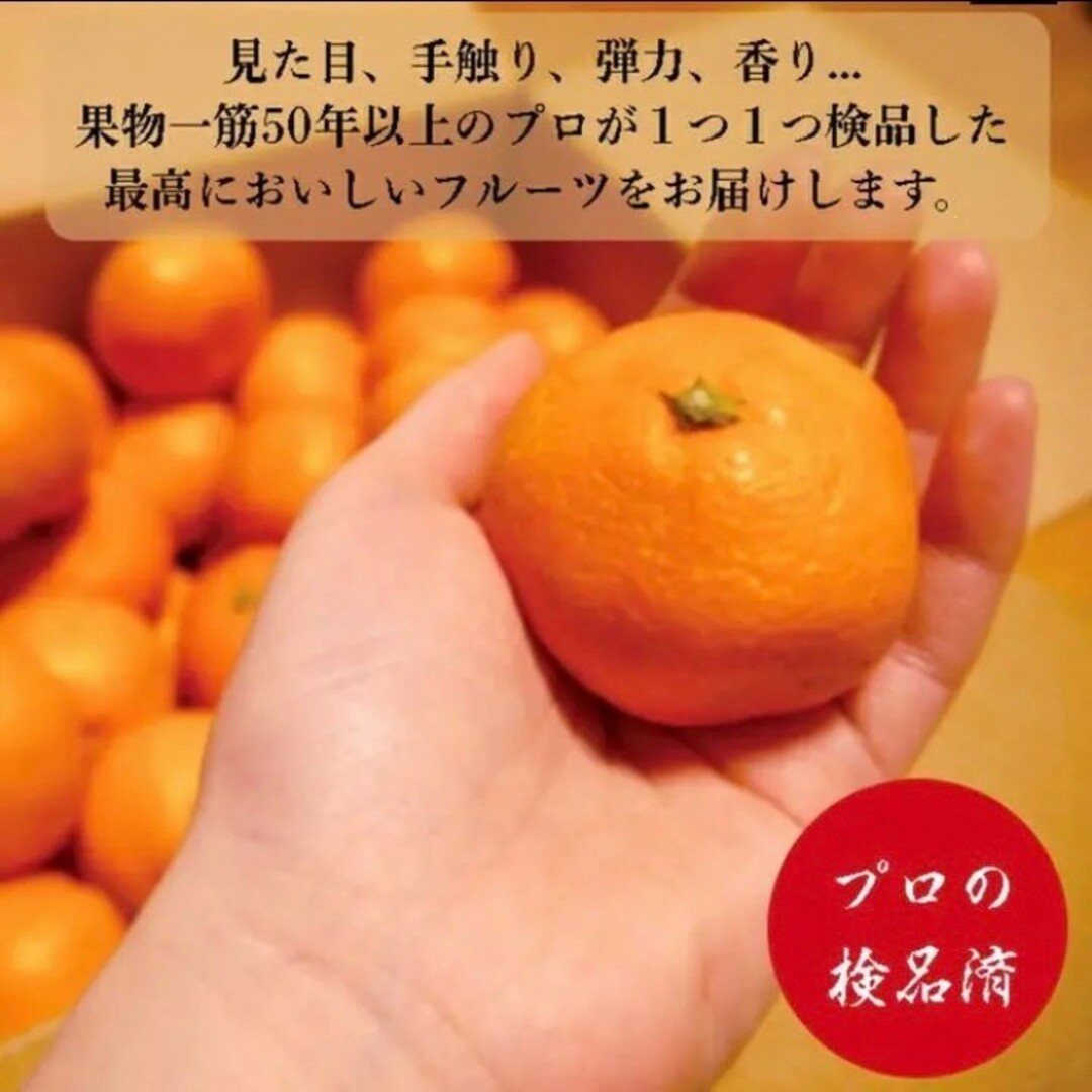 長崎県産伊木力みかん 2S〜3S  5kg 約70個〜90個早生みかん温州みかん 食品/飲料/酒の食品(フルーツ)の商品写真