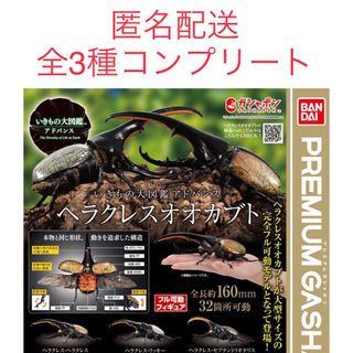 いきもの大図鑑アドバンス ヘラクレス オオカブト 全3種セット コンプ ガチャ版お返事ありがとうございます