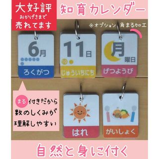 まー様 ※リング5個付   日めくり カレンダー 知育(カレンダー/スケジュール)