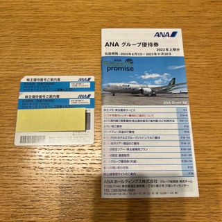 エーエヌエー(ゼンニッポンクウユ)(ANA(全日本空輸))のANA 全日空 株主優待 2枚(その他)