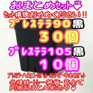 【スリット鉢】プレステラ90黒30個・105黒10個 多肉植物 プラ鉢(プランター)