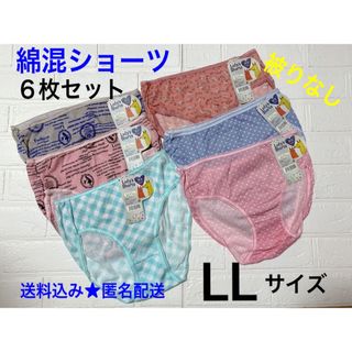 LL サイズ　XL 綿混ショーツ６枚セット　アソート(ショーツ)