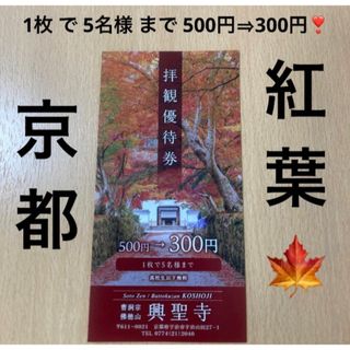 残り1枚 激安 京都 宇治 紅葉 拝観優待券 1枚 で 5名様 まで 300円(その他)