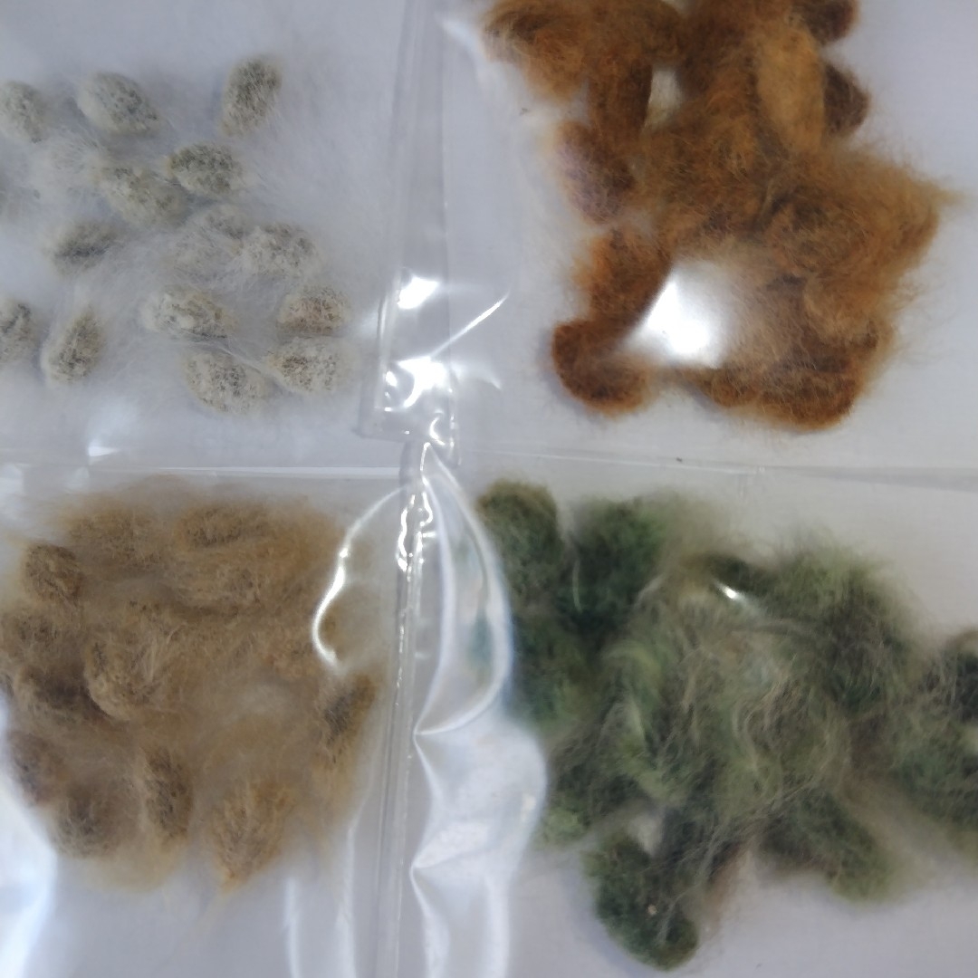 綿花の種　コットンフラワー種4色✕２０粒 ハンドメイドのフラワー/ガーデン(その他)の商品写真