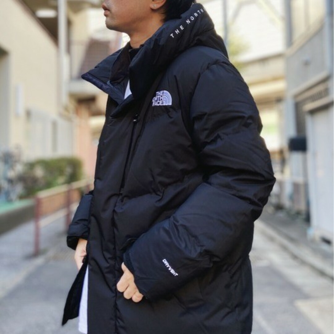 THE NORTH FACE - 【日本未発売】 フリームーブダウンジャケット Lの