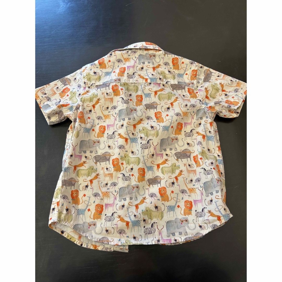 NEXT(ネクスト)の子供　シャツ キッズ/ベビー/マタニティのキッズ服男の子用(90cm~)(Tシャツ/カットソー)の商品写真