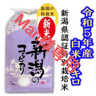 Mam様専用  令和5年産　新潟コシヒカリ・新潟県認証特別栽培米　白米5キロ2個(米/穀物)