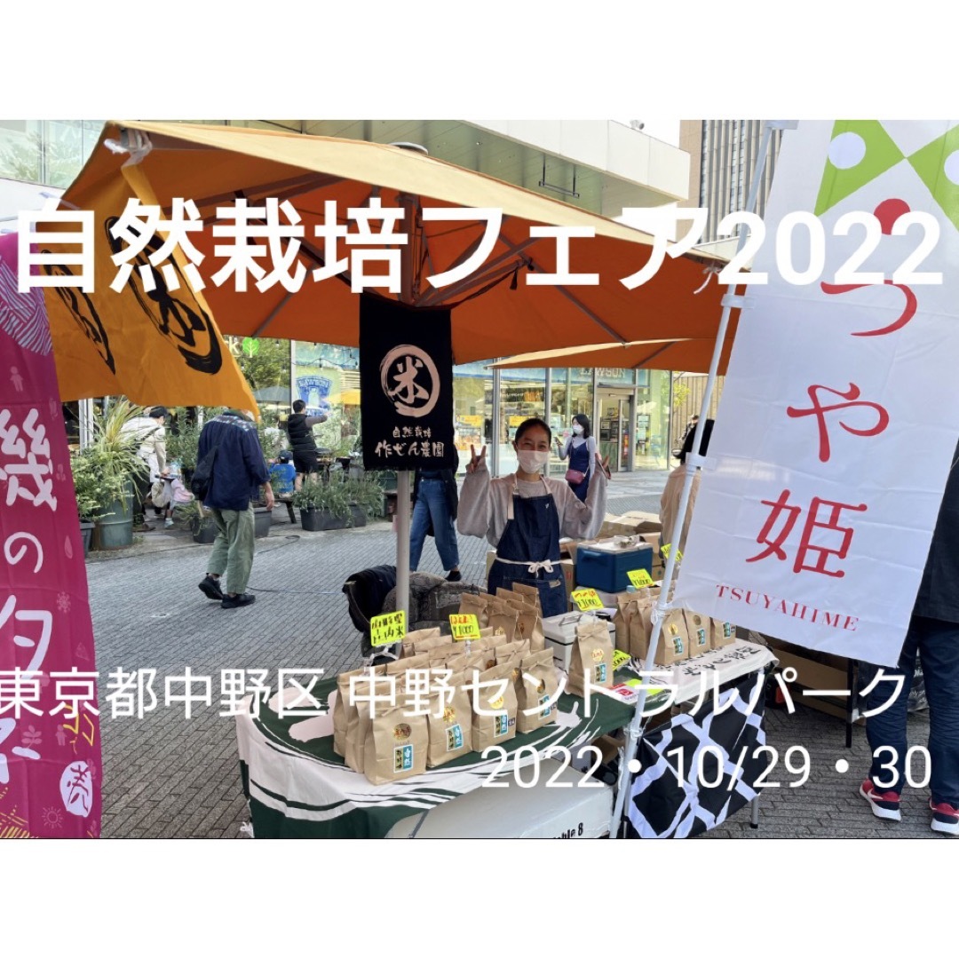 米/穀物自然栽培米 幻のお米 ササシグレ 令和５年産 山形県産 庄内米