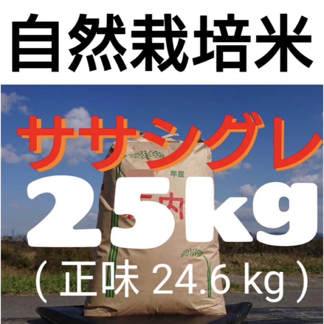 食品自然栽培米 幻のお米 ササシグレ 令和５年産 山形県産 庄内米 25kg