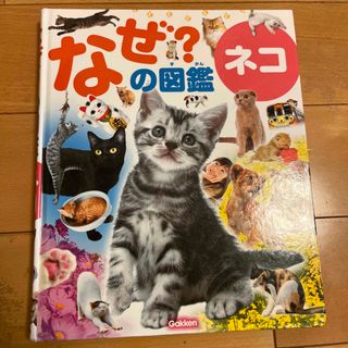 ガッケン(学研)のなぜ？の図鑑　ネコ　学研　今泉忠明監修(絵本/児童書)