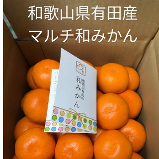 和歌山県有田産　マルチ栽培　和みかん4kg(フルーツ)